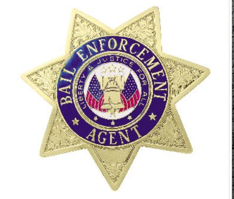 Bail enforcement agent 7 point star glo-tone badge 