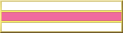 Pink Line Breast Cancer Awareness Commendation Bar
